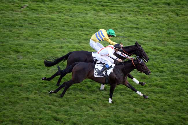 Arrivée quinté pmu PRIX MARITTIMO à AUTEUIL