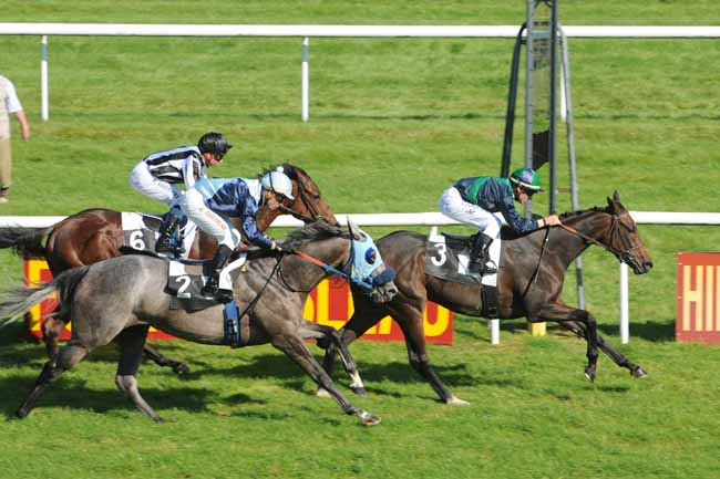Arrivée quinté pmu PRIX DU CONSEIL MUNICIPAL DE NONVILLE à FONTAINEBLEAU