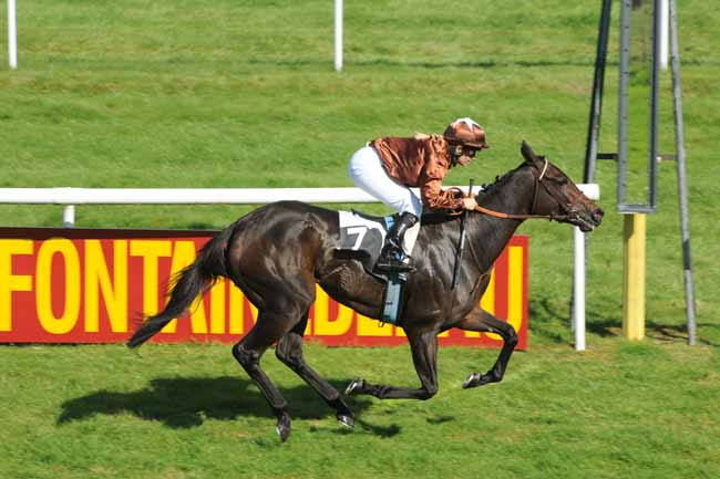 Arrivée quinté pmu PRIX ANNE FEVRE à FONTAINEBLEAU