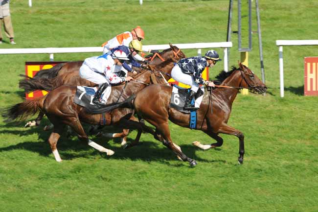 Arrivée quinté pmu PRIX DU COMITE DEPARTEMENTAL DU TOURISME DE SEINE ET MARNE à FONTAINEBLEAU