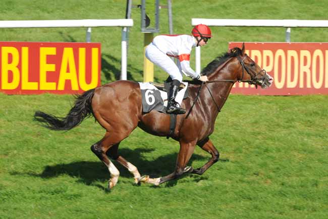 Arrivée quinté pmu PRIX DES GORGES D'APREMONT à FONTAINEBLEAU