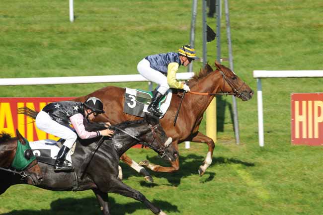Arrivée quinté pmu PRIX DE LA COUR DES ADIEUX à FONTAINEBLEAU