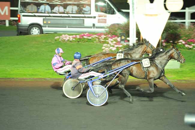 Arrivée quinté pmu PRIX ELLA à PARIS-VINCENNES