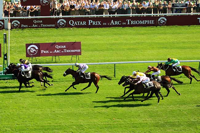 Arrivée quinté pmu PRIX HORSE RACING ABROAD à LONGCHAMP