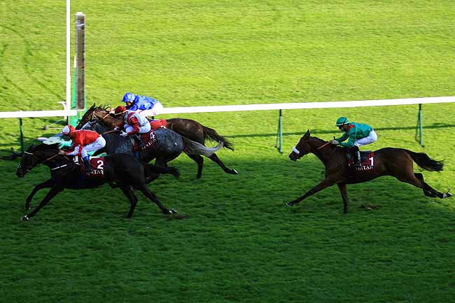 Arrivée quinté pmu QATAR PRIX DE ROYALLIEU à LONGCHAMP
