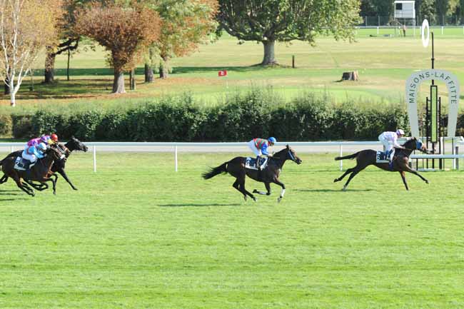 Arrivée quinté pmu PRIX DE L'ETOILE DU BON SECOURS à MAISONS-LAFFITTE