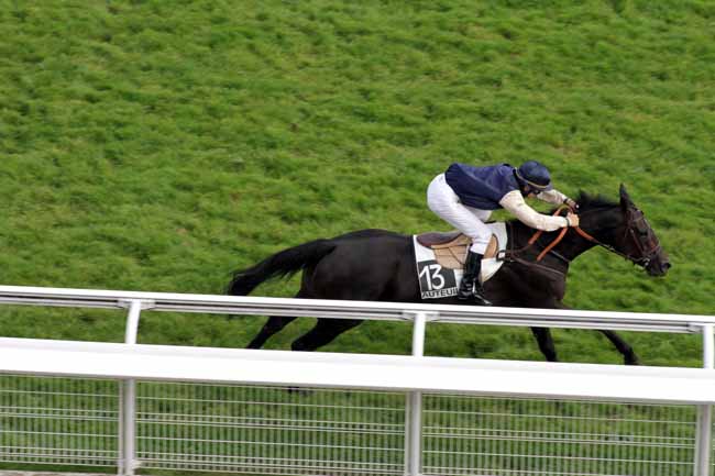Arrivée quinté pmu PRIX VIVIENNE à AUTEUIL