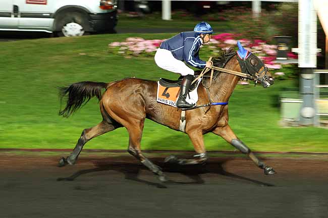 Arrivée quinté pmu PRIX LILIUS à PARIS-VINCENNES