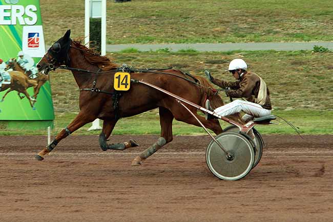Arrivée quinté pmu PRIX DES PONTS DE CE à ANGERS