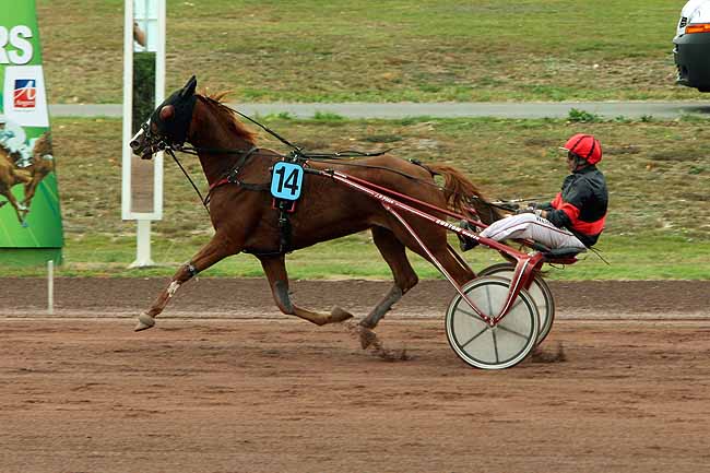 Arrivée quinté pmu GRAND PRIX DE LA VILLE D'ECOUFLANT à ANGERS
