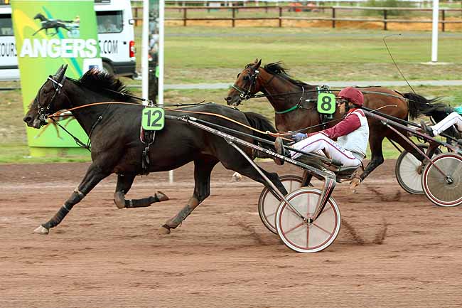Arrivée quinté pmu GRAND PRIX ANJOU-MAINE à ANGERS