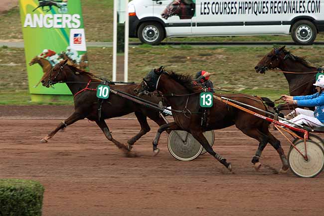 Arrivée quinté pmu PRIX DES AMATEURS à ANGERS
