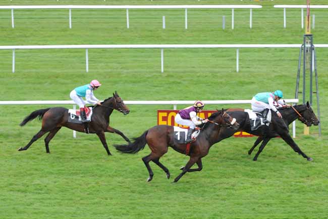 Arrivée quinté pmu PRIX DES ROSEAUX à FONTAINEBLEAU