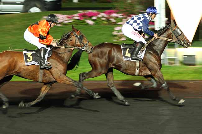 Arrivée quinté pmu PRIX HONORIA à PARIS-VINCENNES