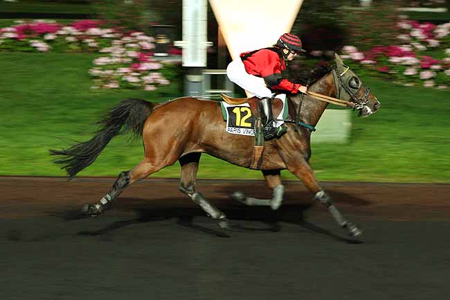 Arrivée quinté pmu PRIX ELIANE DE BELLAIGUE à PARIS-VINCENNES
