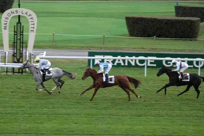 Arrivée quinté pmu PRIX CORDOVA à MAISONS-LAFFITTE