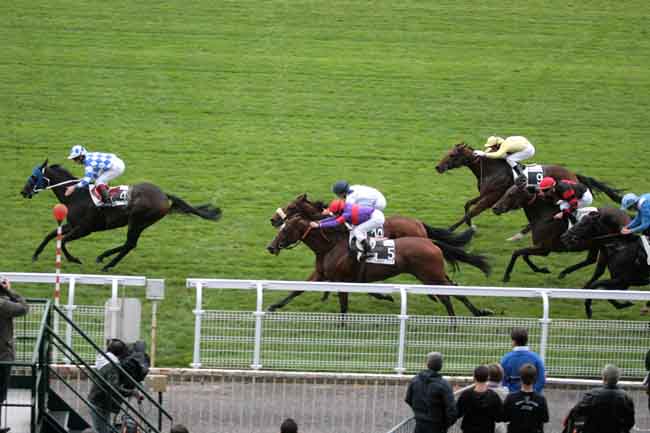 Arrivée quinté pmu PRIX DE LA VILLE DE MAISONS-LAFFITTE (PRIX DU REY) à MAISONS-LAFFITTE