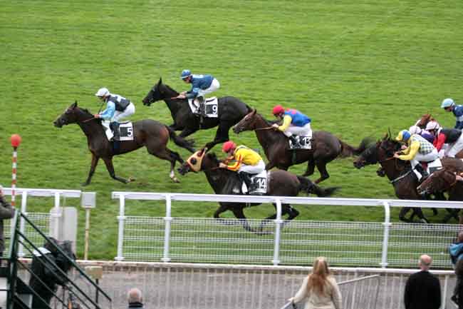 Arrivée quinté pmu PRIX DE TURSAN à MAISONS-LAFFITTE
