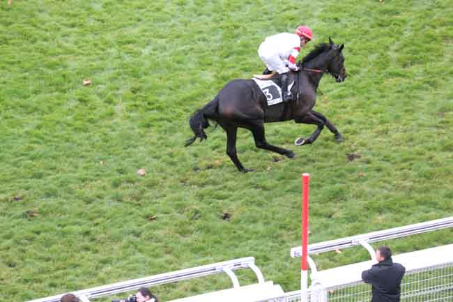 Arrivée quinté pmu PRIX CARMARTHEN à AUTEUIL