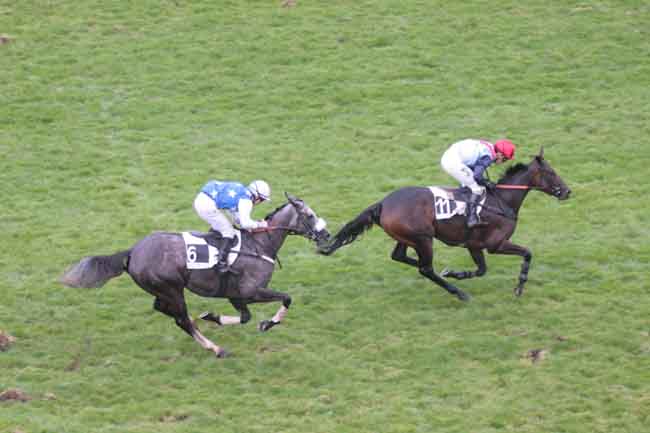 Arrivée quinté pmu PRIX ORCADA à AUTEUIL