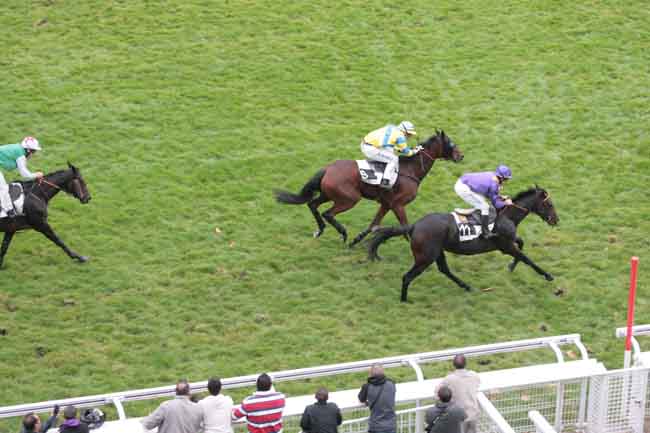 Arrivée quinté pmu PRIX GERARD PHILIPPEAU à AUTEUIL