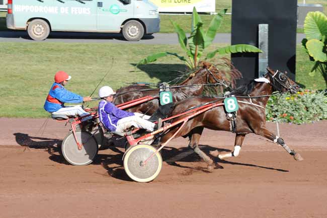 Arrivée quinté pmu PRIX WURTH à FEURS