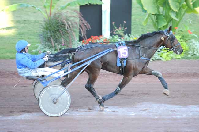 Arrivée quinté pmu PRIX CARREFOUR FEURS à FEURS