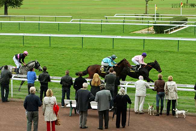 Arrivée quinté pmu PRIX DE COUCY LE CHATEAU à COMPIEGNE