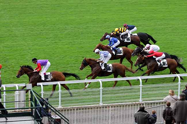 Arrivée quinté pmu PRIX GRIS PERLE à MAISONS-LAFFITTE