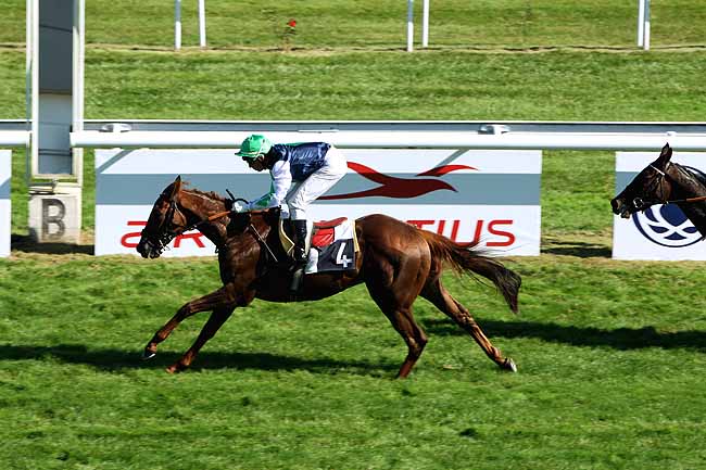 Arrivée quinté pmu PRIX BEACHCOMBER HOTELS SHANDRANI ***** (PRIX DE LA CROIX BLANCHE) à BORDEAUX-LE BOUSCAT