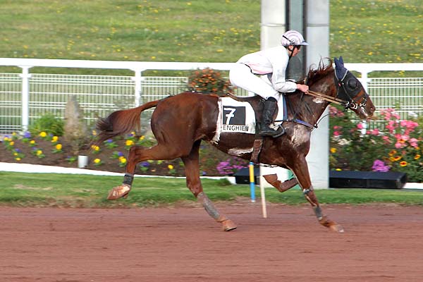 Arrivée quinté pmu PRIX DE MEUDON LA FORET à ENGHIEN