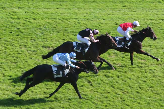Arrivée quinté pmu PRIX MAGNE à AUTEUIL