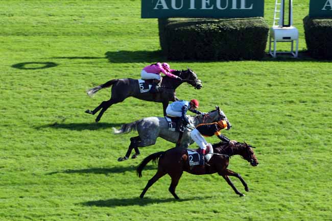 Arrivée quinté pmu PRIX DUC D'ALBURQUERQUE à AUTEUIL