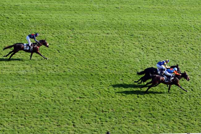 Arrivée quinté pmu PRIX PRINCE D'ECOUEN à AUTEUIL