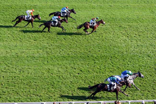 Arrivée quinté pmu PRIX PIERRE DE LASSUS à AUTEUIL