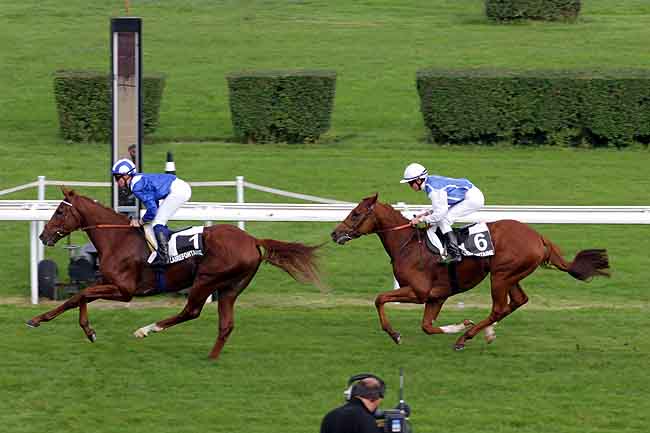 Arrivée quinté pmu PRIX DU CONSEIL GENERAL (PRIX DU VAL SAINT-PERE) à CLAIREFONTAINE