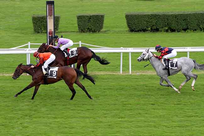 Arrivée quinté pmu PRIX DU CONSEIL REGIONAL (PRIX DU VAL MARIN) à CLAIREFONTAINE