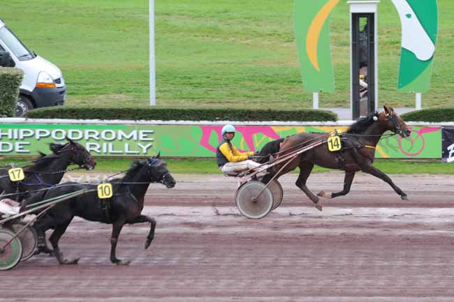 Arrivée quinté pmu PRIX DU PAYS NICOIS à LYON-PARILLY