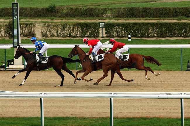 Arrivée quinté pmu PRIX DE TOUPAIRIE à DEAUVILLE