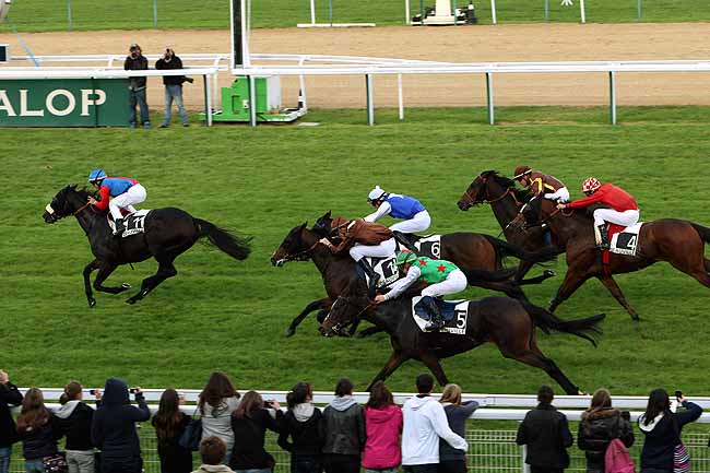 Arrivée quinté pmu PRIX DU MARAIS VERNIER à DEAUVILLE