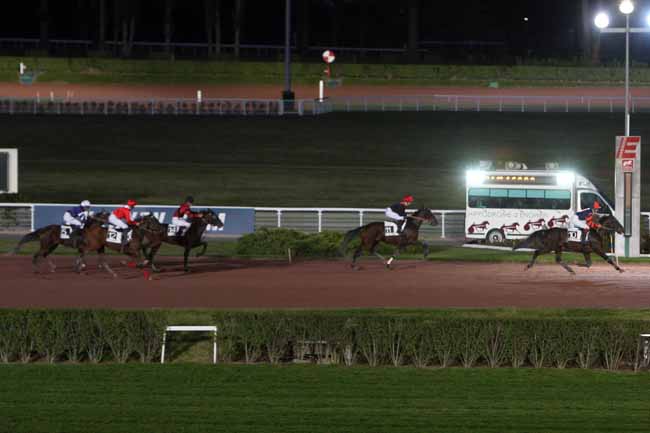 Arrivée quinté pmu PRIX DU PONT ROYAL à ENGHIEN