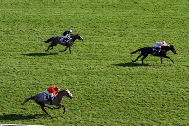 Arrivée quinté pmu PRIX FABIANO à AUTEUIL