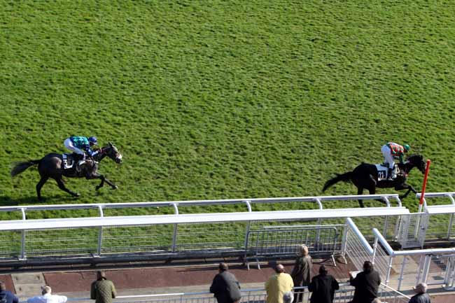 Arrivée quinté pmu PRIX LUSIGNAN (GRA) à AUTEUIL