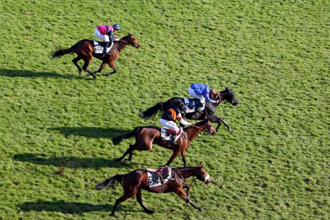 Arrivée quinté pmu PRIX DE L'AISNE à AUTEUIL