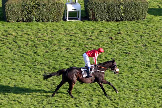 Arrivée quinté pmu PRIX MONCOURT à AUTEUIL