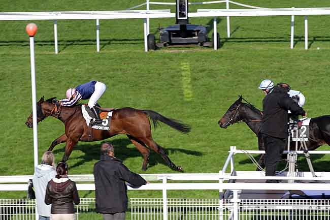 Arrivée quinté pmu PRIX DE L'ECOLE PRIMAIRE SAINTE MARIE (PRIX DE LA FORET VERTE) à CLAIREFONTAINE