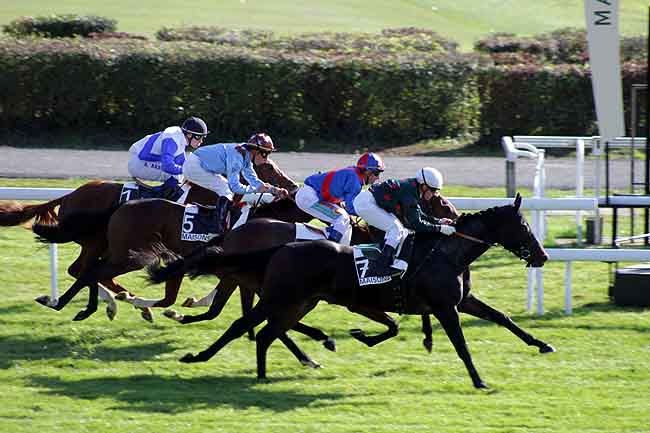 Arrivée quinté pmu PRIX BORAX à MAISONS-LAFFITTE