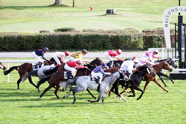 Arrivée quinté pmu PRIX DE TARBES à MAISONS-LAFFITTE