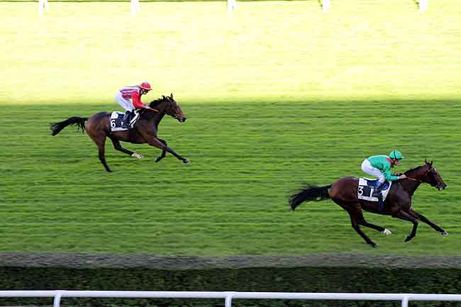 Arrivée quinté pmu PRIX FOURIRE à SAINT-CLOUD