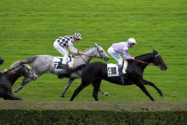 Arrivée quinté pmu PRIX VAL DE LOIR à SAINT-CLOUD